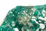 Sparkling Dioptase Crystals on Glassy Quartz - Sanda, Congo #306098-1